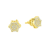 Diaphanous Earrings